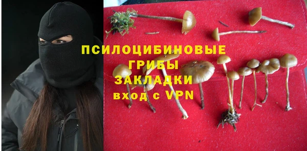 MESCALINE Белокуриха